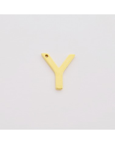 Y