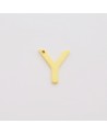 Y