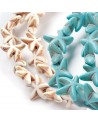 Estrella de mar | Creasentidos