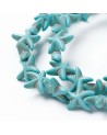 Estrella de mar | Creasentidos