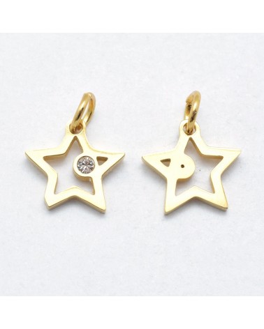 Estrella de acero inoxidable con circonita| Creasentidos