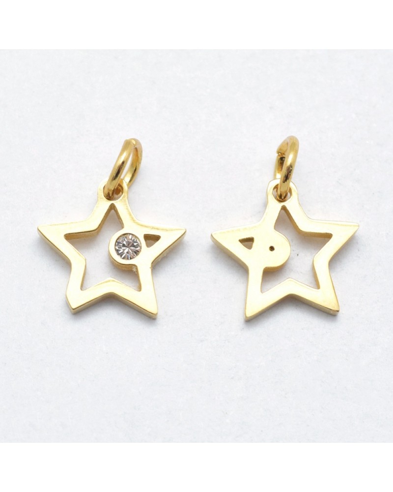 Estrella de acero inoxidable con circonita| Creasentidos