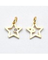 Estrella de acero inoxidable con circonita| Creasentidos