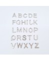 Abecedario de acero inoxidable, todas las letras,12mm de alto hueco 0,8mm (1pc).